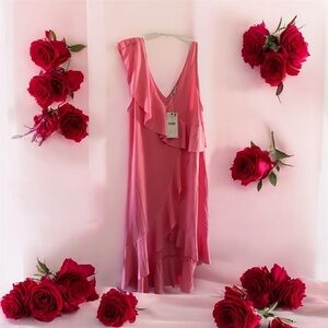 Zara nwt Elegant Pink Ruffle Dress